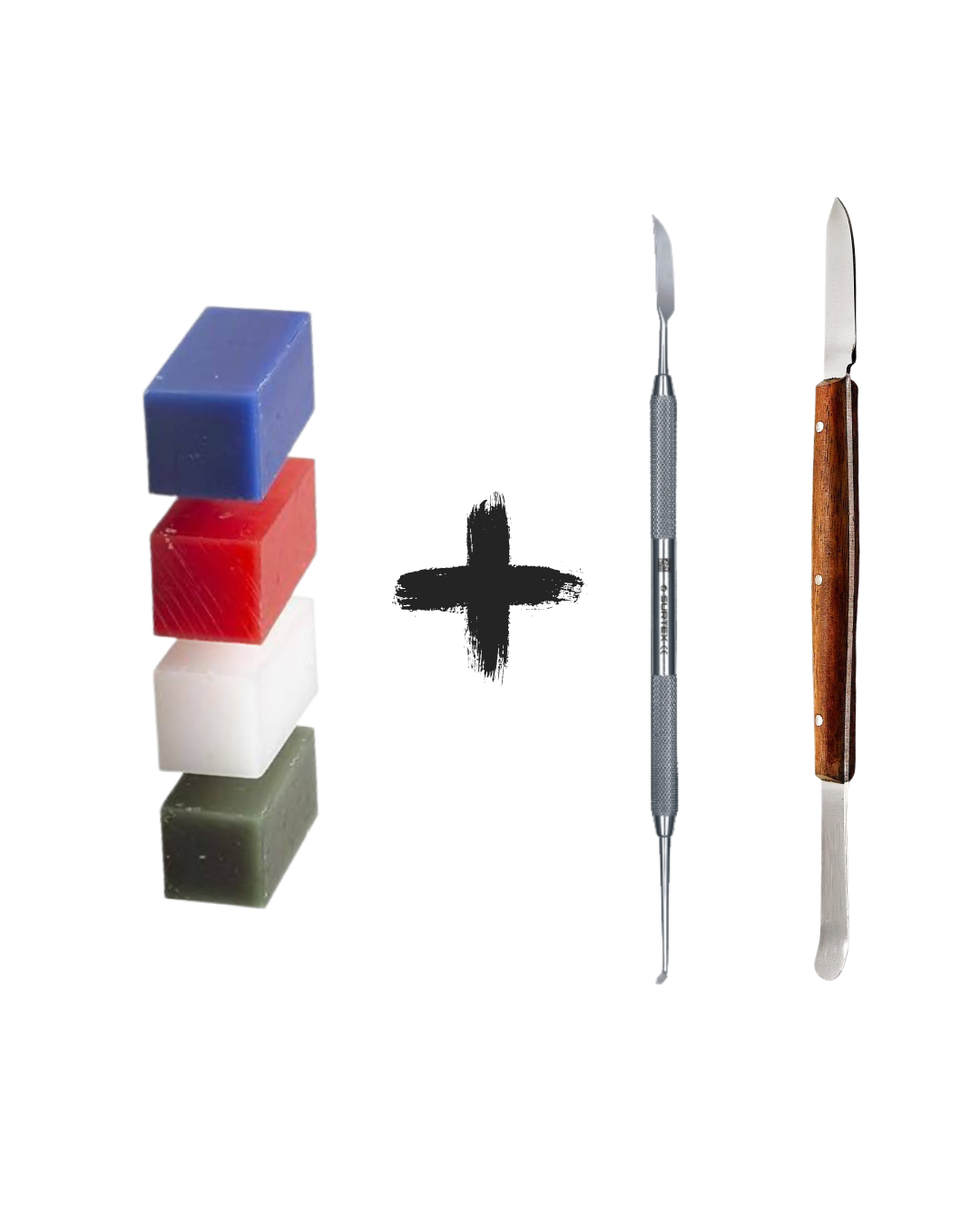 Dental Anatomy Kit