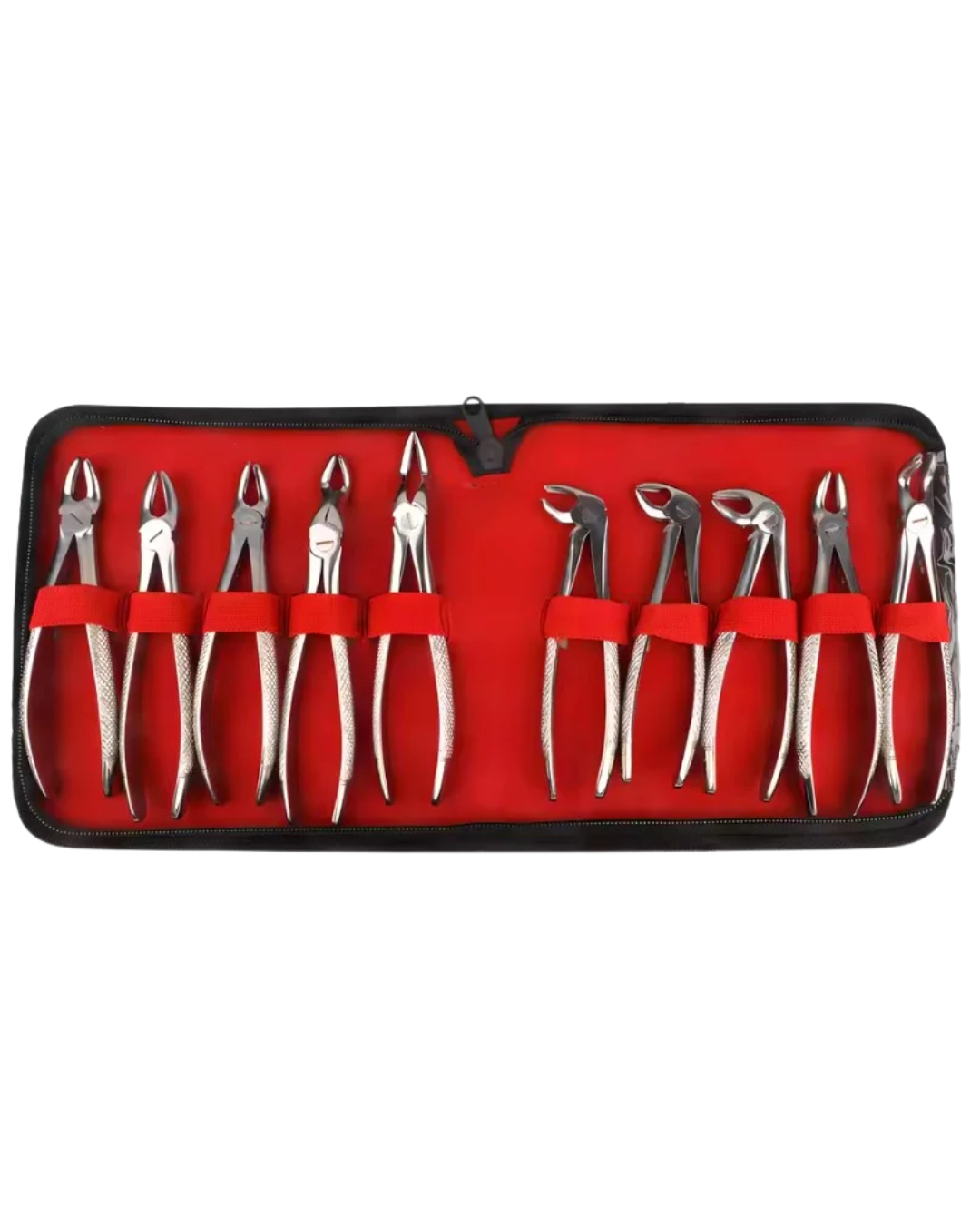 Adult Extraction Forceps Set of 10